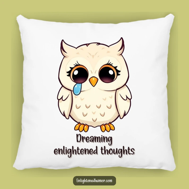 Funny Kawaii Owl Enlightenment Pillow: Joyful Tears Owl Cushion Gift
