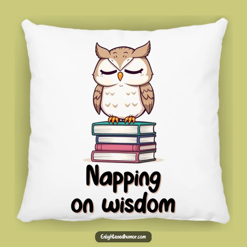 Funny Owl Wisdom Pillow: Cozy Wise Character, Comforting Humorous Accent Gift