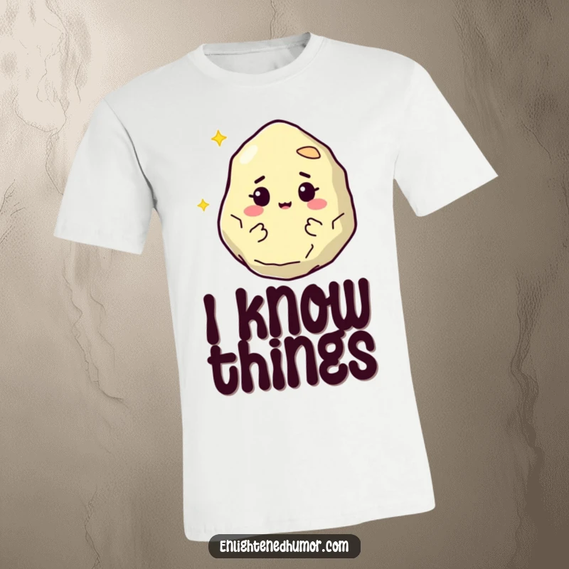 Funny philosopher stone t-shirt with a wise, floating stone character, exuding intelligence and a knowing twinkle. Perfect for smart humor lovers.